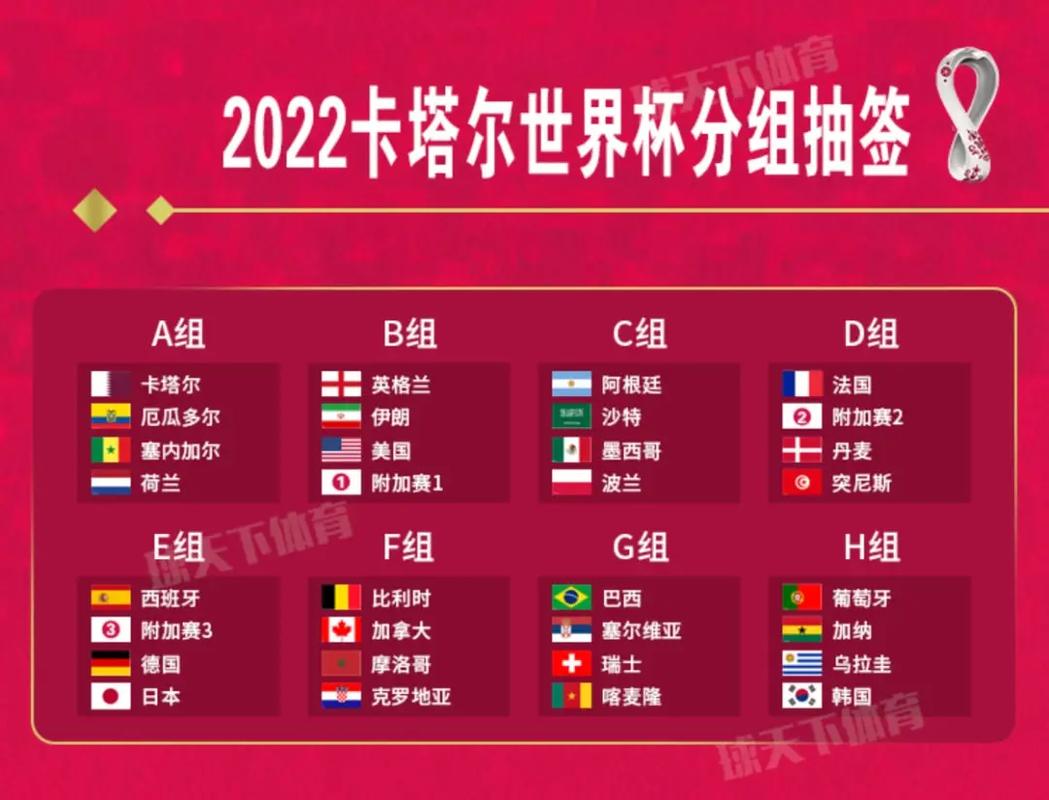 女篮世界杯2022赛程