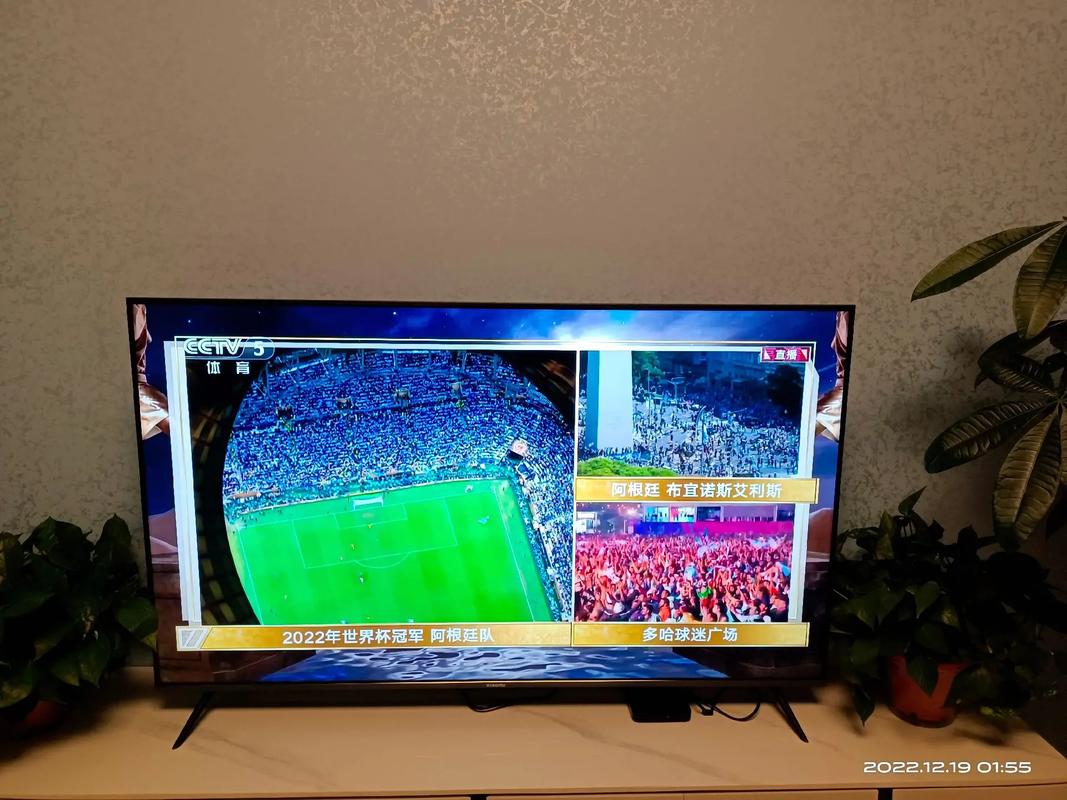 看世界杯直播的相关图片